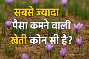 सबसे ज्यादा पैसा कमाने वाली खेती कौन सी है